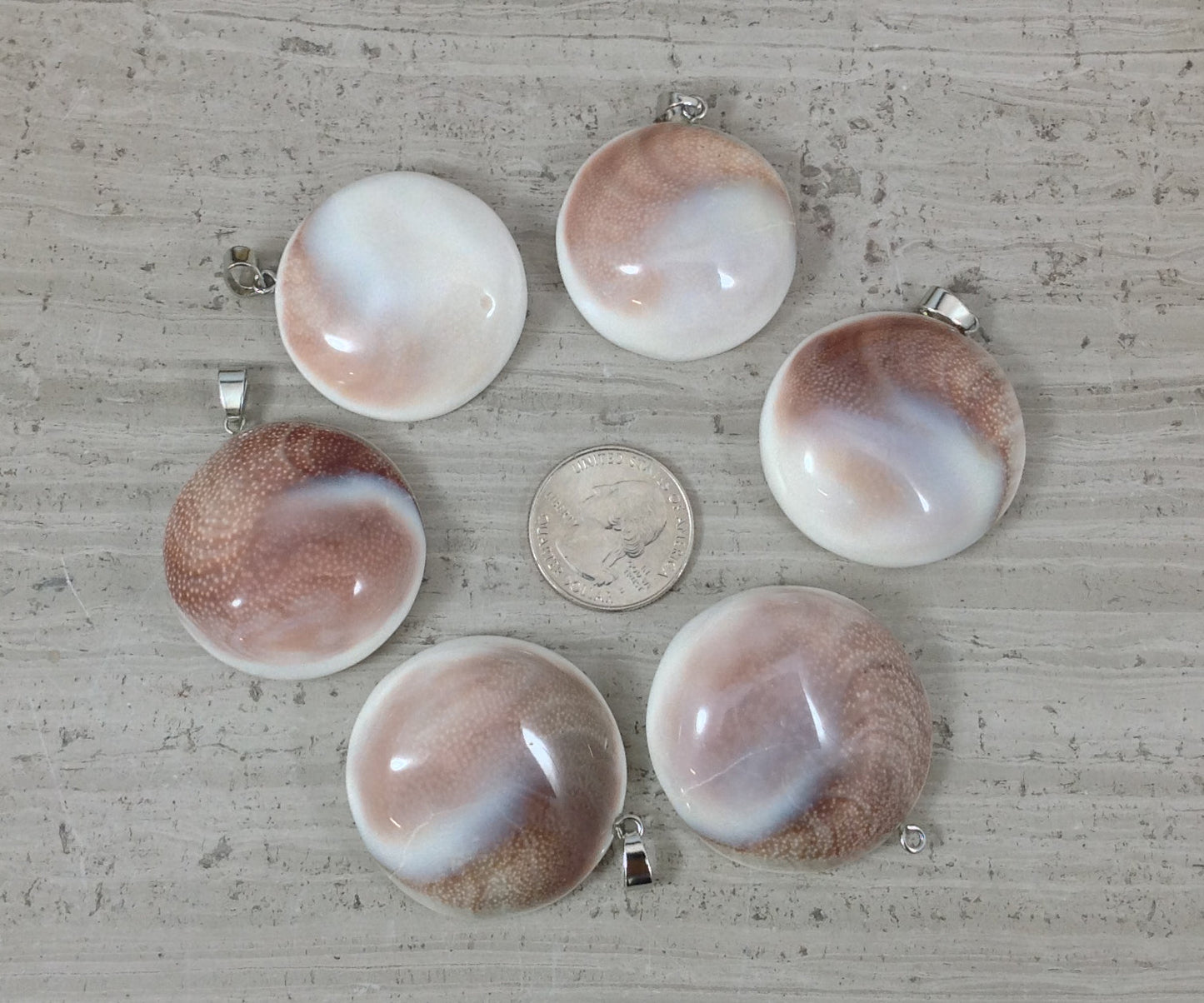 Shiva Shell, Pacific Cat's Eye Shell, Operculum, Gastropod Round Pendant-1