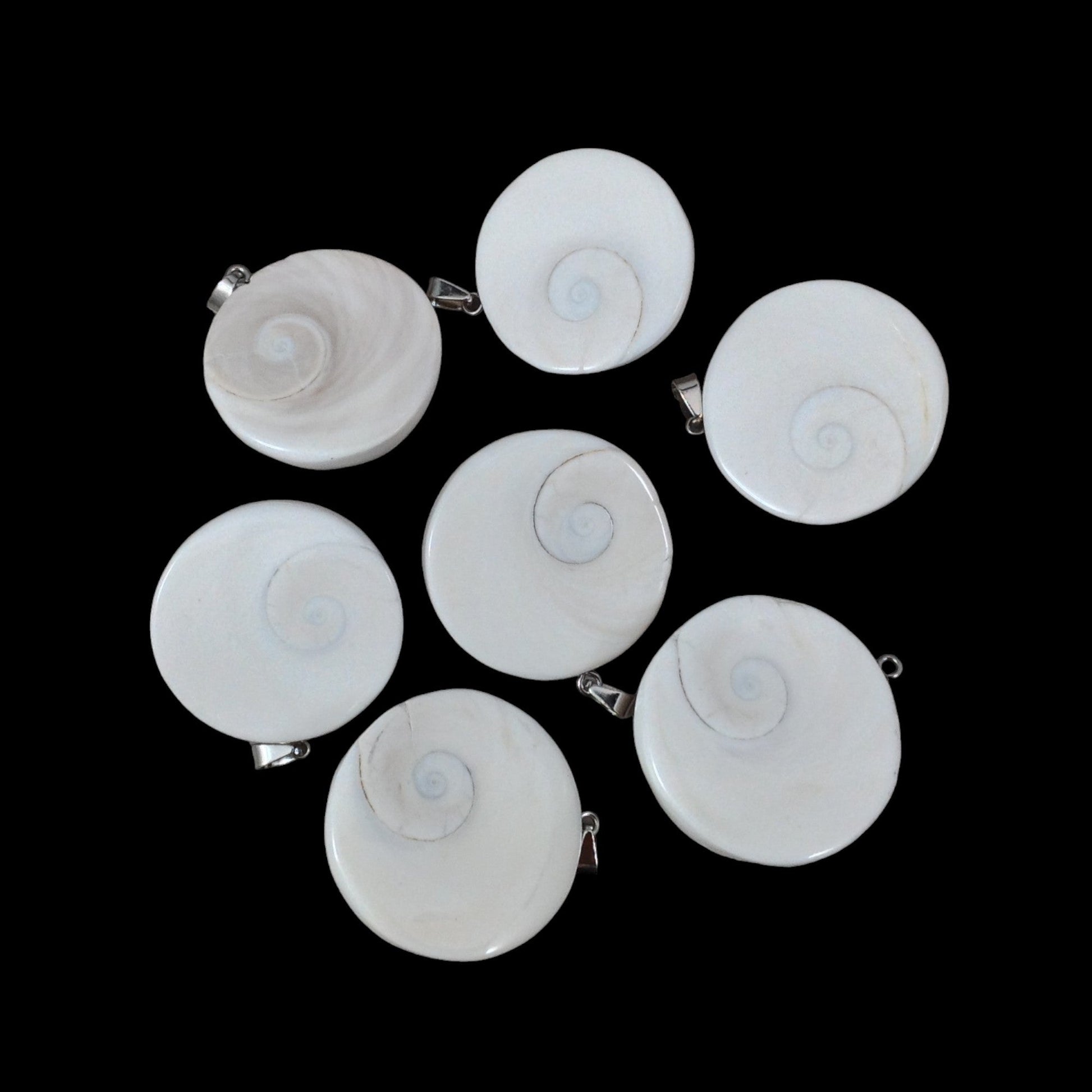 Shiva Shell, Pacific Cat's Eye Shell, Operculum, Gastropod Round Pendant-0